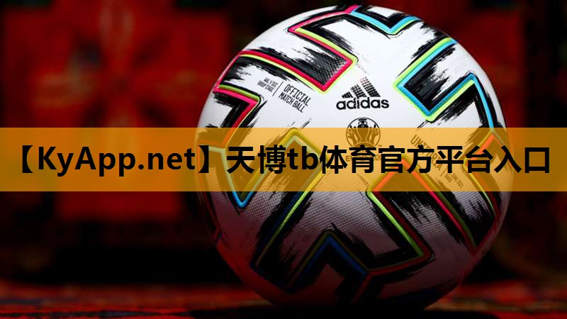 ⚽️天博tb·体育综合官方网站:提升户外运动体验的利器 – 室外体育健身器材配件大揭秘