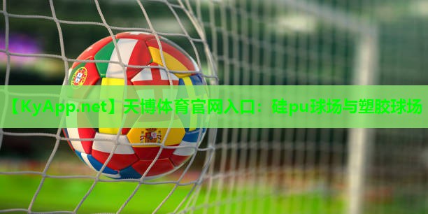 天博体育官网入口:硅pu球场与塑胶球场
