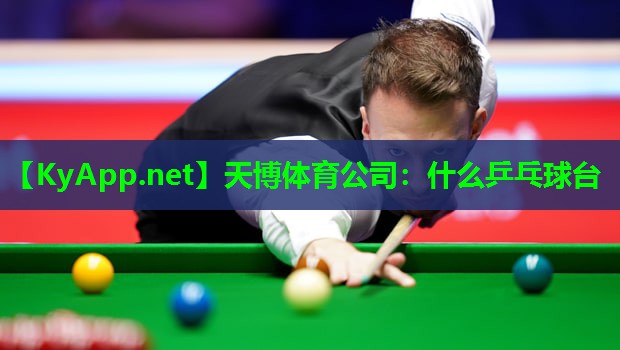 天博体育公司:什么乒乓球台