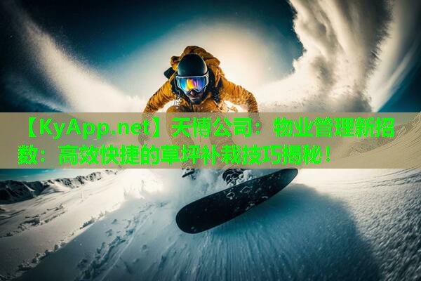 天博公司:物业管理新招数:高效快捷的草坪补栽技巧揭秘!
