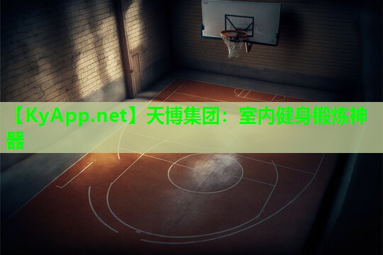 天博集团:室内健身锻炼神器