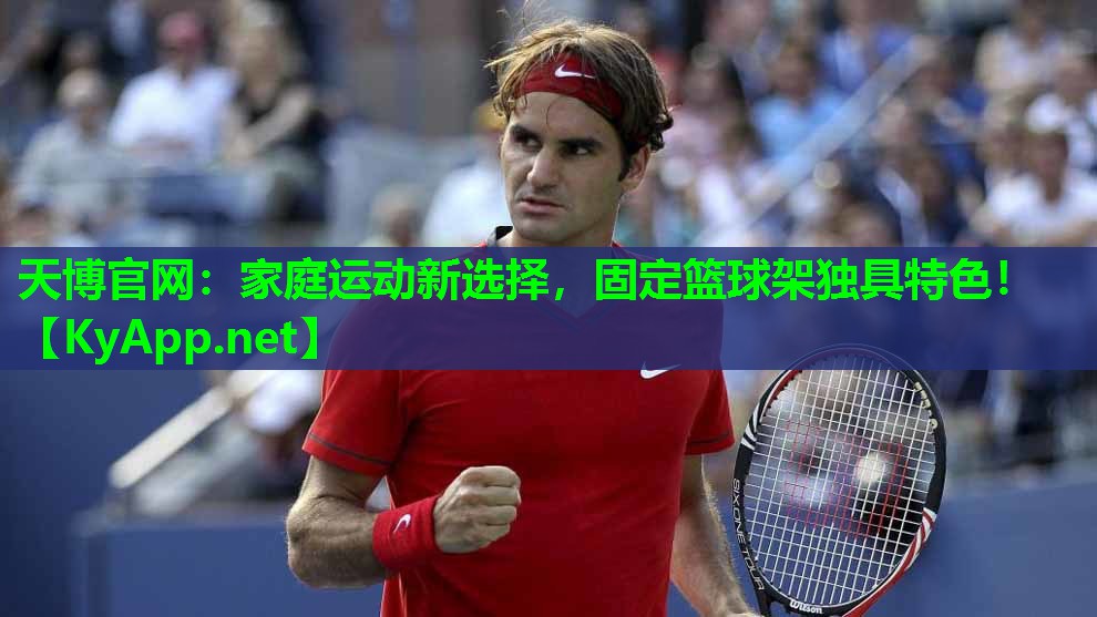 天博官网:家庭运动新选择,固定篮球架独具特色!