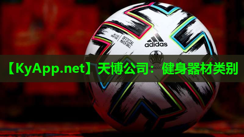 天博公司:健身器材类别