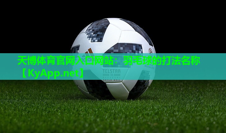 天博体育官网入口网站:羽毛球的打法名称