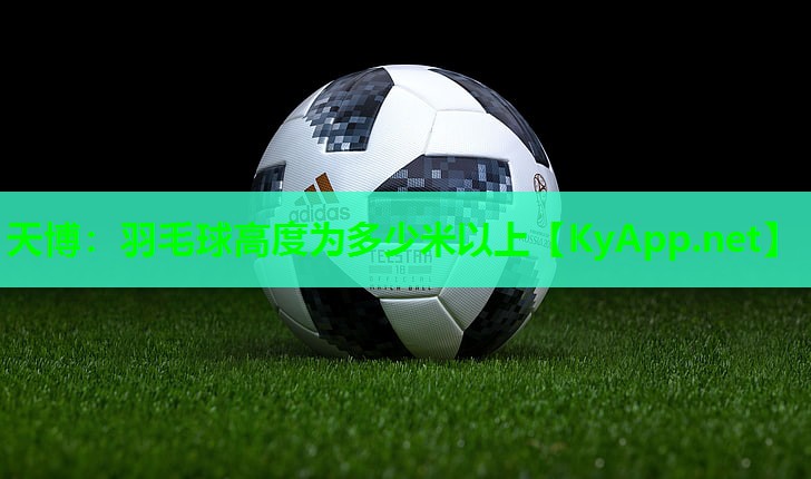 天博:羽毛球高度为多少米以上