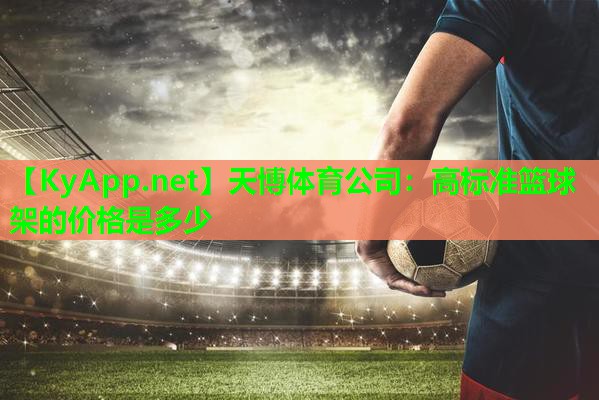天博体育公司:高标准篮球架的价格是多少