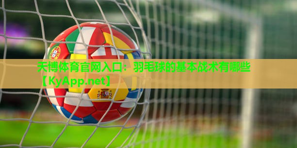 天博体育官网入口:羽毛球的基本战术有哪些