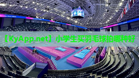 小学生买羽毛球拍哪种好