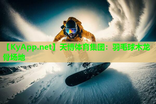 天博体育集团:羽毛球木龙骨场地