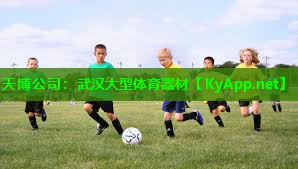 天博公司:武汉大型体育器材