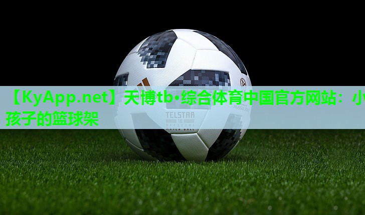 天博tb·综合体育中国官方网站:小孩子的篮球架