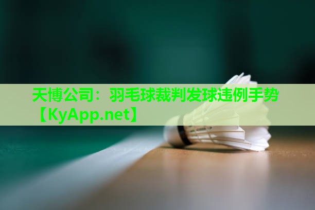 天博公司:羽毛球裁判发球违例手势
