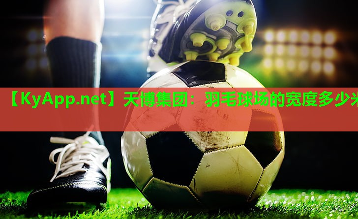 天博集团:羽毛球场的宽度多少米