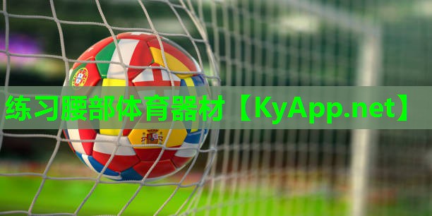 练习腰部体育器材