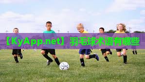 羽毛球术语有哪些