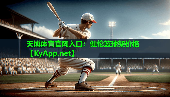 健伦篮球架价格