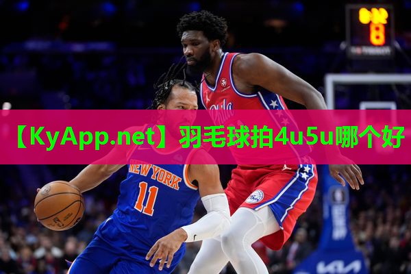 羽毛球拍4u5u哪个好