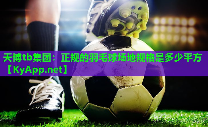 正规的羽毛球场地规格是多少平方