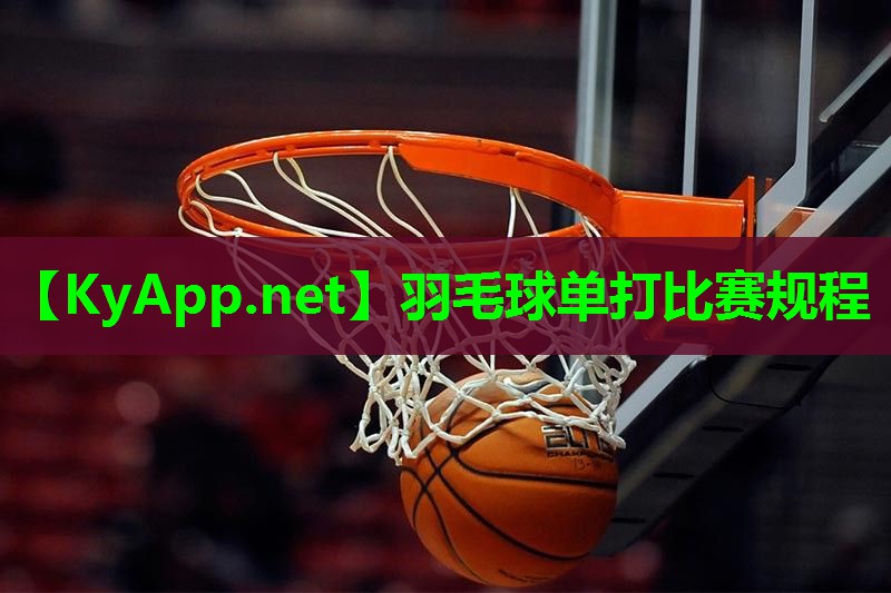 羽毛球单打比赛规程