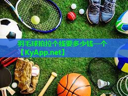 羽毛球拍拉个线要多少钱一个