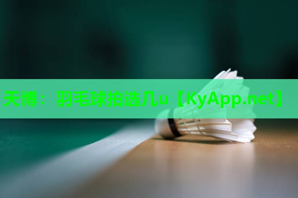 羽毛球拍选几u